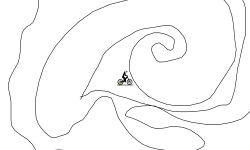Random 2
