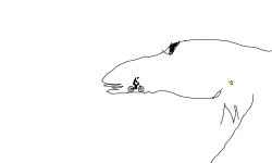 the dragon  wip