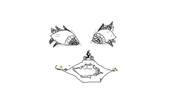 mouth