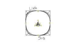 in the circle