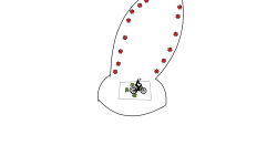 Spin