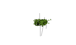 Auto, go though walls