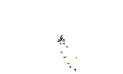 Auto of death challenge