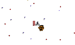 helocopter joy ride
