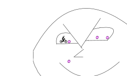 Human