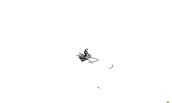 shift
