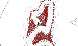 bomb cave (auto)