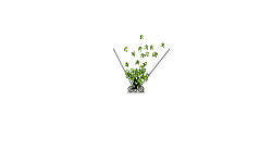 simple auto