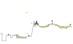 quick trial