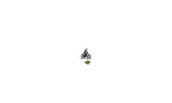 My last track ever (probably)
