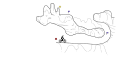 Short Trial