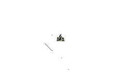 Daily auto #5