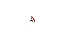 auto run