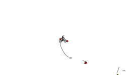 and Another wheelie