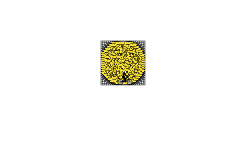 500 Stars in a Circle!
