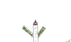 pista del cactus