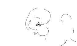 auto dump 6