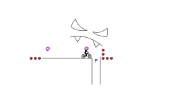 tplacella never clear 3