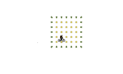 LOL5