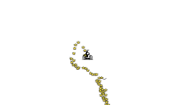 Stars Wheelie