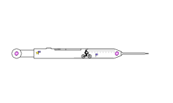 Covid Vaccine