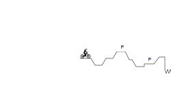 BMX (Skatepark)