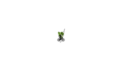 Auto (dont press anything)
