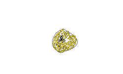 lemons