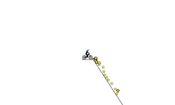 100 star is easy