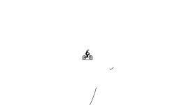 Flying Pigs