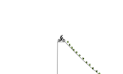 Very Fast Pace