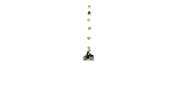 10 star game
