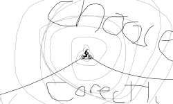 choose corectly