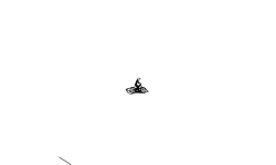 BMX or MTB auto?