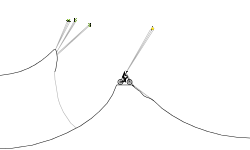 MTB ~ Jumps