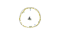 ball