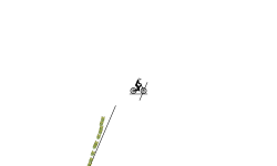 Just jump 5 posted