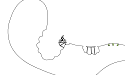 Floating Islands (Preview)