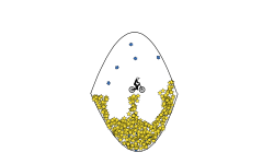 the egg pot