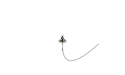 one jump