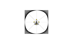 Donut 2