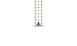 Blob auto