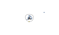 spin plz