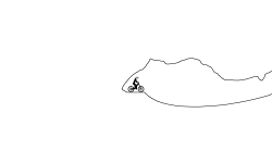 the cave