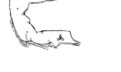 Cave Auto