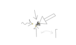 What's Your Arrow?