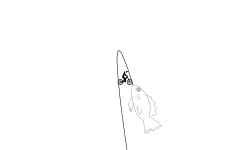 Fish Preview