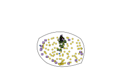 the blob