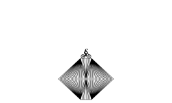 illusion