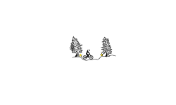 Sighs of winter